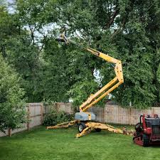 Best Tree Mulching  in Palisades Park, NJ